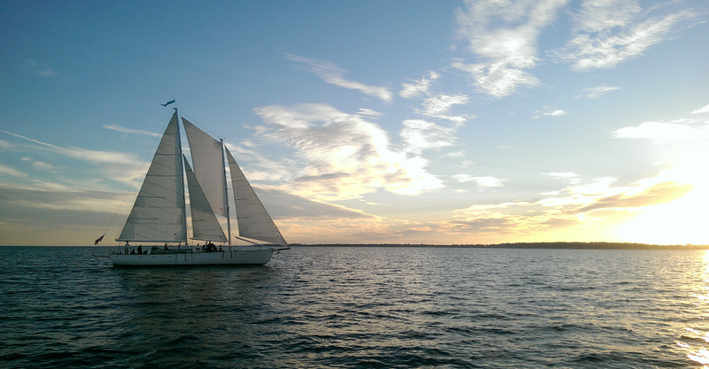 Illustration for article titled America's Cup Prototype Boats Appearing